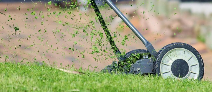 Grass clippings flying from a mower