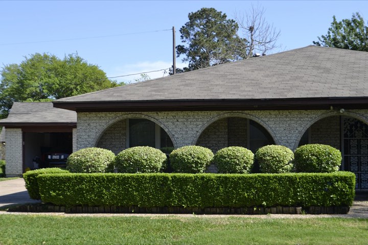 Neatly trimmed hedges in front of a house