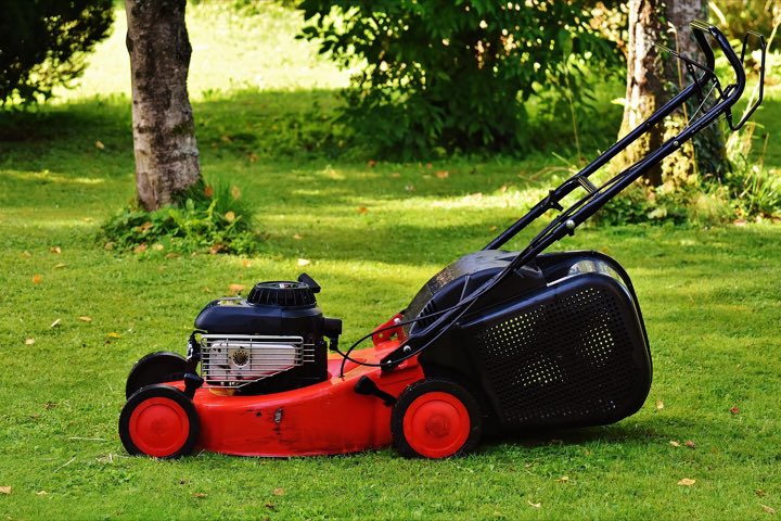 A red push mower on a freshly cut lawn under trees